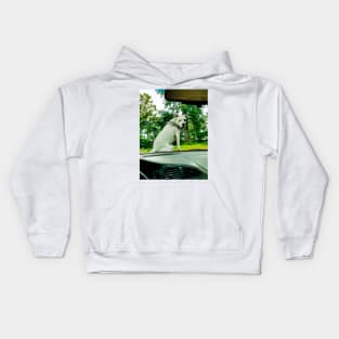 Lilly on car Kids Hoodie